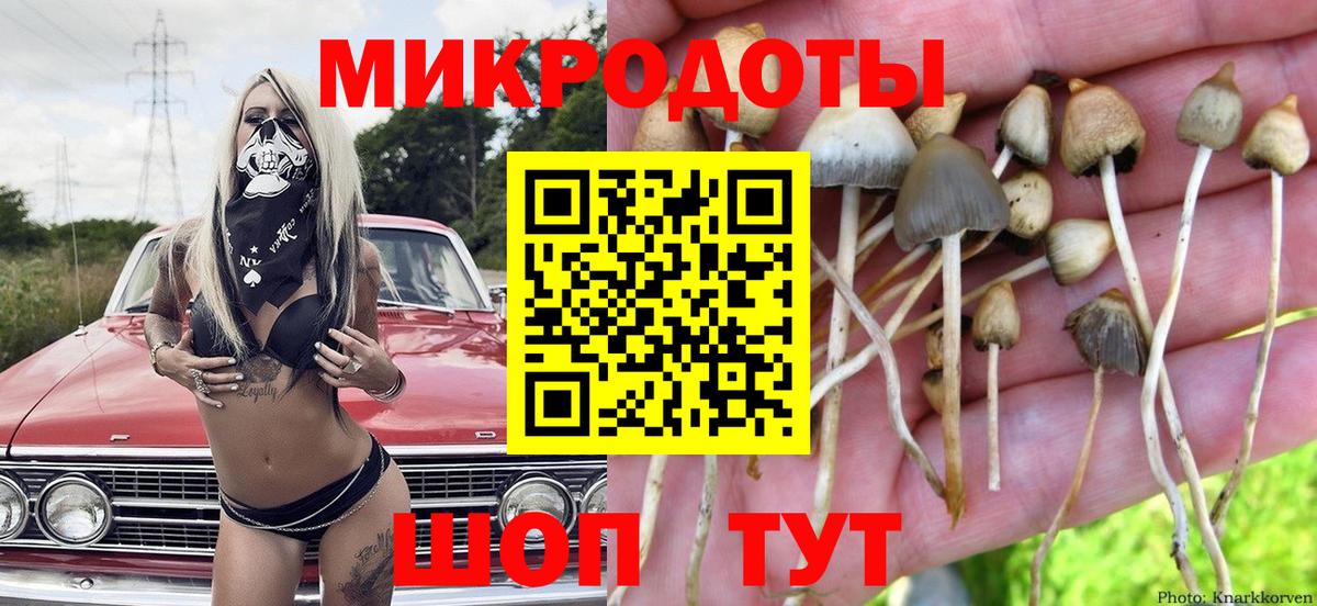 Черногорск  Псилоцибиновые грибы Psilocybe  Вход с VPN  Галлюциногенные грибы ЛСД 